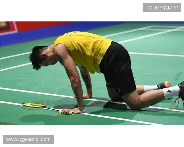 南京羽毛球队防反战术深度解析与实战应用探讨