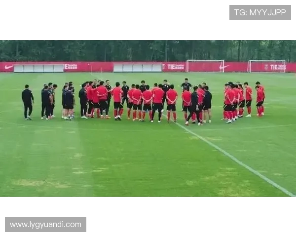 杭州滑板队状态引发热议球迷与专家各执己见探讨未来发展方向